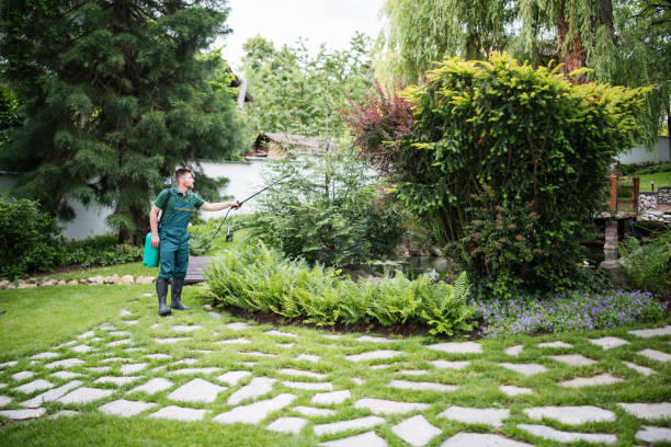Best Best Pest Control Companies  in West Ocean City, MD